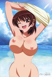 Rule 34 | 00s, 1girl, ;d, armpits, arms up, blush, body blush, bouncing breasts, breasts, brown eyes, brown hair, cleavage, clothes lift, cloud, crossed arms, curvy, exhibitionism, fujiwara naeka, groin, hair between eyes, hair ornament, hairclip, head tilt, highres, kamen no maid guy, large breasts, light rays, looking at viewer, megami magazine, navel, nipples, nude, nude filter, ocean, one eye closed, ootsuka midori, open mouth, out-of-frame censoring, outdoors, pinky out, public indecency, scan, shirt, shirt lift, short hair, sky, smile, solo, standing, sunbeam, sunlight, third-party edit, unaligned breasts, undressing, water, wide hips, wink