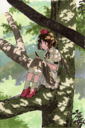 Rule 34 | 1girl, art tools in frame, bare arms, black ribbon, bob cut, brown eyes, brown hair, brown skirt, closed mouth, collared shirt, commentary request, dappled sunlight, day, expressionless, frilled skirt, frills, geta, hat, highres, holding, holding notebook, holding phone, in tree, knees up, marker (medium), neck ribbon, notebook, outdoors, phone, pointy ears, puffy short sleeves, puffy sleeves, red footwear, red hat, ribbon, shameimaru aya, shiratama (hockey), shirt, short hair, short sleeves, sitting, skirt, socks, solo, sunlight, tengu-geta, tokin hat, touhou, traditional media, tree, white shirt, white socks, writing