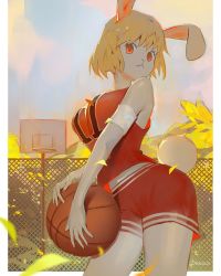Rule 34 | armband, basketball, basketball uniform, blonde hair, breasts, carrot (one piece), drowzzi, evening, fence, furry, furry female, highres, large breasts, falling leaves, midriff peek, one piece, rabbit ears, rabbit girl, rabbit tail, red eyes, short hair, sportswear, sunset, thick thighs, thighs