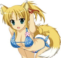 Rule 34 | 10s, 1girl, absurdres, animal ears, bare shoulders, bikini, blonde hair, blue eyes, breasts, cleavage, deviantart thumbnail, dog days, fox ears, fox tail, highres, large breasts, long hair, looking at viewer, navel, open mouth, ponytail, ribbon, solo, swimsuit, tail, transparent background, yukikaze panettone