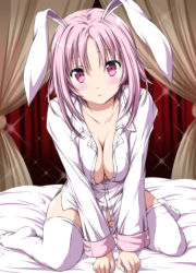 Rule 34 | 1girl, animal ears, bed, blush, bottomless, breasts, canopy bed, cleavage, collarbone, commentary, groin, large breasts, long sleeves, looking at viewer, naked shirt, no bra, no panties, no shoes, nori tamago, on bed, open clothes, open shirt, original, pink eyes, pink hair, rabbit ears, shirt, sitting, solo, sparkle, thighhighs, v arms, wariza, white thighhighs, zettai ryouiki
