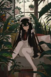 Rule 34 | 1girl, absurdres, animal ears, apron, black eyes, black hair, black shirt, blush, bow, cat ears, cat girl, cat tail, closed mouth, collared shirt, conservatory, couch, day, fern, full body, hair between eyes, hair bow, hanging plant, highres, indoors, kgt (pixiv12957613), knees up, light frown, long hair, long sleeves, looking at viewer, maid, maid headdress, nature, neck ribbon, no shoes, original, pantyhose, picture frame, plant, potted plant, red ribbon, ribbon, shirt, sidelocks, sitting, sleeve cuffs, solo, table, tail, vase, white apron, white bow, white pantyhose, window