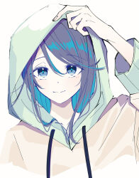 Rule 34 | 1girl, black eyes, black hair, blue hair, blue pupils, blush, closed mouth, colored inner hair, dot nose, drawstring, hand on own head, highres, hood, hood up, hooded jacket, hoshino ichika (project sekai), jacket, long hair, long sleeves, looking at viewer, multicolored hair, project sekai, ritzchrono, sidelocks, simple background, solo, straight-on, white background, white jacket
