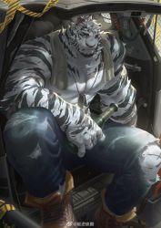 Rule 34 | 1boy, 6suan, abs, animal ears, arknights, bara, boots, bottle, car, denim, dog tags, feet out of frame, furry, furry male, holding, holding bottle, jeans, large pectorals, looking at viewer, male focus, motor vehicle, mountain (arknights), muscular, muscular male, nipples, pants, pectorals, scar, scar across eye, scar on arm, scar on face, scar on leg, short hair, solo, stomach, thick thighs, thighs, tiger boy, tiger ears, topless male, torn clothes, torn pants, towel, towel around neck, white fur, white hair
