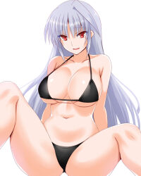 Rule 34 | 1girl, bikini, black bikini, breasts, cleavage, collarbone, commentary request, engo (aquawatery), grey hair, large breasts, long hair, lyrical nanoha, mahou shoujo lyrical nanoha, mahou shoujo lyrical nanoha a&#039;s, navel, red eyes, reinforce, simple background, sitting, solo, swimsuit, white background