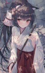 Rule 34 | 1girl, animal ear fluff, animal ears, bamboo broom, black hair, blue archive, blush, broom, closed mouth, commentary, day, hair between eyes, hakama, hakama skirt, highres, holding, holding broom, japanese clothes, kimono, kuro futoshi, long hair, looking at viewer, miko, outdoors, ponytail, red hakama, serika (blue archive), serika (new year) (blue archive), sidelocks, skirt, solo, uneven eyes, v-shaped eyebrows, very long hair, white kimono