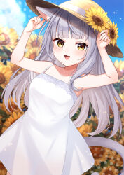 Rule 34 | 1girl, :3, adjusting clothes, adjusting headwear, animal ears, arms up, blunt bangs, blush, cat ears, cat girl, cat tail, day, dress, ears down, fang, field, flower, flower field, grey hair, hat, hat flower, highres, kawagami raito, long hair, open mouth, original, outdoors, sky, sleeveless, sleeveless dress, solo, sun hat, sunflower, sunflower field, tail, very long hair, yellow eyes