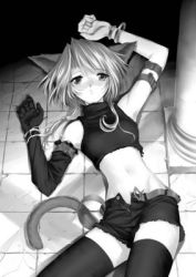 Rule 34 | 1girl, animal ears, cat ears, cat girl, cat tail, cowboy shot, crack, cracked floor, flat chest, greyscale, lowres, monochrome, shorts, solo, tail, thighhighs, torn clothes, torn shorts, ueda ryou, unfastened