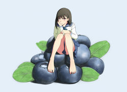 Rule 34 | 1girl, bad id, bad pixiv id, barefoot, blueberry, brown hair, clothes between thighs, feet, food, fruit, hand on own cheek, hand on own face, highres, legs, long sleeves, mini person, minigirl, original, oversized object, pink eyes, pleated skirt, school uniform, serafuku, short hair, sitting, skirt, solo, toes, white background, yamauchi (conan-comy)