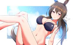 Rule 34 | 1girl, admire vega (umamusume), alternate costume, animal ears, bikini, black bikini, blue sky, blush, border, bow, breasts, brown hair, cleavage, closed mouth, cloud, cloudy sky, commentary, ear covers, hair between eyes, highres, horse ears, horse girl, horse tail, large breasts, long hair, looking at viewer, navel, ponytail, purple eyes, single ear cover, sky, solo, sousakubito, swimsuit, tail, tracen swimsuit, umamusume, white border, white bow