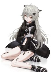 Rule 34 | 1girl, ahoge, animal ears, arknights, bare legs, black footwear, black jacket, black shorts, commentary, fingerless gloves, gloves, grey eyes, grey gloves, grin, hair between eyes, hair ornament, hairclip, high collar, highres, jacket, lappland (arknights), long hair, long sleeves, looking at viewer, material growth, myung yi, navel, oripathy lesion (arknights), parted lips, reflection, scar, scar across eye, scar on face, shadow, short shorts, shorts, silver hair, simple background, sitting, smile, solo, stomach, symbol-only commentary, thighs, very long hair, white background, wide sleeves, wolf ears, yokozuwari