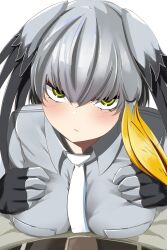 Rule 34 | 1girl, absurdres, bird wings, black gloves, bodystocking, breast pocket, breasts, closed mouth, collared shirt, eyelashes, fingerless gloves, gloves, grey hair, grey shirt, hair between eyes, head tilt, head wings, highres, kemono friends, large breasts, light smile, long hair, looking at viewer, multicolored hair, necktie, orange hair, pocket, pov, pov crotch, shirt, shoebill (kemono friends), sidelocks, solo, white necktie, wings, yellow eyes, ykt scl