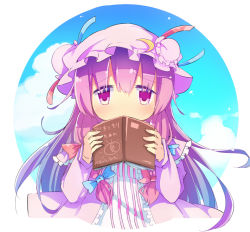 Rule 34 | 1girl, bad id, bad pixiv id, blush, book, bow, double bun, hair bow, hat, covered mouth, long hair, patchouli knowledge, purple eyes, purple hair, sash, solo, touhou, yatani row