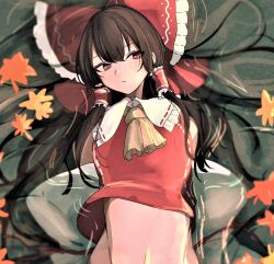 Rule 34 | 1girl, :/, absurdres, bare shoulders, black hair, bow, breasts, closed mouth, detached sleeves, expressionless, from above, groin, hair bow, hair tubes, hakurei reimu, highres, long hair, long sleeves, looking to the side, lying, mesuosushi, midriff, navel, on back, partially submerged, red bow, red eyes, small breasts, solo, touhou, upper body, very long hair, water