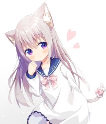 Rule 34 | 1girl, animal ear fluff, animal ears, blue sailor collar, blush, bow, cat ears, cat girl, cat tail, closed mouth, commentary request, dress, gradient background, grey background, grey hair, hair between eyes, hand up, heart, leaning forward, long hair, long sleeves, nakkar, original, pink bow, purple eyes, sailor collar, sailor dress, solo, tail, twitter username, very long hair, white background, white dress