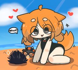 Rule 34 | +++, 1girl, ahoge, animal, animal ears, bare arms, bare legs, bare shoulders, barefoot, black one-piece swimsuit, blue sky, blush, chibi, closed mouth, cloud, commentary request, crab, day, dog ears, dog girl, dog tail, full body, grey eyes, heart, highres, horizon, ocean, one-piece swimsuit, orange hair, original, outdoors, parted bangs, sea urchin, short eyebrows, sky, solo, swimsuit, tail, thick eyebrows, tongue, tongue out, uni souchou, water