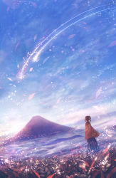 Rule 34 | 1girl, ahoge, blue sky, brown hair, cloud, cloudy sky, commentary request, day, dress, dutch angle, facing away, fantasy, flower, long hair, magic, mountain, original, outdoors, ponytail, sakimori (hououbds), scenery, shooting star, sidelocks, sky, solo, standing, wide shot