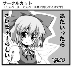 Rule 34 | 1girl, black border, border, bow, circle cut, cirno, embodiment of scarlet devil, female focus, greyscale, monochrome, solo, sw (taco), touhou, unfinished