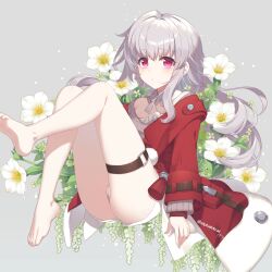 Rule 34 | 1girl, absurdres, alpha (yukai na nakamatachi), barefoot, belt, blush, bow, bowtie, breasts, brown belt, clara (honkai: star rail), detached collar, eyelashes, feet, flower, foot up, full body, grey background, grey hair, highres, honkai: star rail, honkai (series), jacket, knee up, legs, lily (flower), long hair, long sleeves, looking at viewer, off shoulder, purple eyes, red jacket, short shorts, shorts, sitting, small breasts, solo, thigh strap, thighs, toenails, toes, twitter username, white bow, white bowtie, white shorts