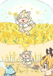Rule 34 | 2girls, :3, aged down, animal ears, bare shoulders, blonde hair, bow, bowtie, child, closed eyes, commentary request, crayon, elbow gloves, extra ears, field, flower, flower field, gloves, high-waist skirt, kemono friends, kuro shiro (kuro96siro46), lucky beast (kemono friends), multiple girls, open mouth, print legwear, print neckwear, print skirt, serval (kemono friends), serval print, serval tail, short hair, skirt, sleeveless, steam, tail, thighhighs, thought bubble, white hair, white serval (kemono friends), zettai ryouiki