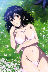 Rule 34 | 1girl, absurdres, black hair, blush, breasts, brown eyes, cherry blossoms, collarbone, completely nude, convenient censoring, covering breasts, covering crotch, covering privates, from above, furukawa hideki, grass, hair between eyes, highres, himeragi yukina, large breasts, legs, looking at viewer, lying, megami magazine, navel, nude, official art, on back, parted lips, petal censor, petals, scan, solo, strike the blood, thighs, topless, tree, tree shade