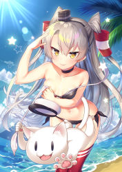 Rule 34 | &gt;:), 1girl, amatsukaze (kancolle), animal, arm up, bare back, bare shoulders, beach, bikini, black bikini, black choker, black hairband, blue sky, cat, choker, clothes theft, cloud, cloudy sky, collarbone, commentary request, day, fingernails, hair between eyes, hair tubes, hairband, hat, highres, horizon, kantai collection, leaning forward, long hair, looking at viewer, military hat, navel, ocean, outdoors, palm tree, peaked cap, red thighhighs, sand, silver hair, sky, solo, standing, star (symbol), swimsuit, swimsuit theft, tahya, theft, thighhighs, tree, two side up, untied bikini, v-shaped eyebrows, very long hair, water, white headwear, yellow eyes