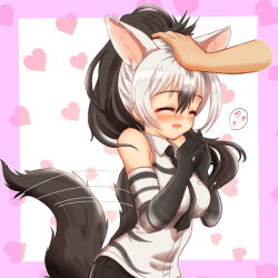 Rule 34 | 1girl, 1other, ^ ^, aardwolf (kemono friends), aardwolf print, absurdres, afterimage, animal ears, animal print, bare shoulders, black hair, black necktie, blush, border, breast pocket, closed eyes, collared shirt, disembodied hand, elbow gloves, extra ears, eyelashes, gloves, grey hair, hair between eyes, hakumaiya, hand on another&#039;s head, hands up, happy, headpat, heart, heart background, highres, interlocked fingers, kemono friends, long hair, motion lines, multicolored hair, necktie, nose blush, open mouth, outside border, own hands together, pocket, print gloves, print shirt, shirt, shorts, sleeveless, sleeveless shirt, smile, solo focus, spoken heart, tail, tail wagging, two-tone hair, upper body, wing collar