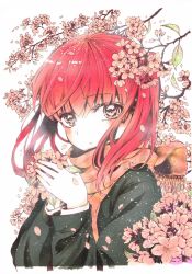 Rule 34 | 1girl, branch, cherry blossoms, commentary request, highres, jacket, long hair, long sleeves, looking at viewer, nariie shin&#039;ichirou, original, petals, red hair, scarf, solo, traditional media, upper body, white background, wind