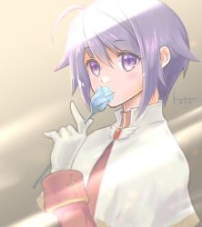 Rule 34 | 1girl, acolyte (ragnarok online), blue flower, brown shirt, capelet, closed mouth, commentary, flower, gloves, hair between eyes, holding, holding flower, kotoharu, long sleeves, looking at viewer, purple eyes, purple hair, ragnarok online, ragnarok origin, shirt, short hair, signature, solo, upper body, white capelet, white gloves