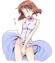 Rule 34 | 00s, 1girl, blush, brown eyes, brown hair, clothes lift, covering privates, covering crotch, dress, dress lift, embarrassed, hagiwara yukiho, idolmaster, idolmaster (classic), idolmaster 1, panties, side-tie panties, solo, takayaki, tears, underwear, wind, wind lift