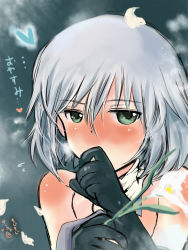 Rule 34 | 1girl, bare shoulders, black gloves, blush, body blush, detached collar, elbow gloves, flower, gloves, green eyes, heart, highres, lily (flower), mishiro shinza, petals, sanya v. litvyak, short hair, silver hair, solo, strike witches, translated, world witches series