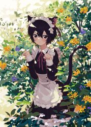 Rule 34 | 1girl, absurdres, animal ear fluff, animal ears, apron, black dress, black eyes, black hair, blue flower, blush stickers, cat ears, cat girl, cat tail, closed mouth, collared dress, commentary request, dress, flower, frilled apron, frills, hair between eyes, hands up, highres, kgt (pixiv12957613), long sleeves, looking at viewer, neck ribbon, one side up, original, pink ribbon, puffy long sleeves, puffy sleeves, ribbon, sleeves past wrists, smile, solo, tail, white apron, yellow flower