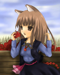 Rule 34 | 00s, 1girl, apple, bad id, bad pixiv id, food, fruit, holding, holding food, holding fruit, holo, lowres, solo, spice and wolf, toda ayu, wolf ears