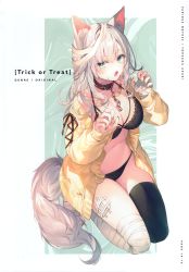 Rule 34 | 1girl, :o, absurdres, animal ears, bandaged leg, bandages, bandaid, black bra, black panties, black thighhighs, blue eyes, bra, breasts, chain, claw pose, cleavage, collar, fang, fox ears, fox girl, fox tail, halloween, highres, jacket, large breasts, long hair, long sleeves, looking at viewer, multicolored nails, nail polish, navel, open clothes, open jacket, open mouth, original, panties, scan, silver hair, single thighhigh, solo, stomach, string bra, string panties, tail, thighhighs, thighs, toosaka asagi, underwear, yellow jacket