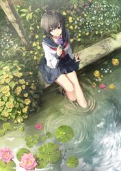 Rule 34 | 1girl, arm at side, bare legs, barefoot, black hair, black sailor collar, black skirt, breasts, collarbone, day, flower, from above, full body, highres, holding, holding flower, lily pad, long sleeves, looking away, looking to the side, medium breasts, miniskirt, neckerchief, original, outdoors, pleated skirt, pond, purple eyes, purple flower, red neckerchief, sailor collar, school uniform, serafuku, shirt, short hair, skirt, soaking feet, solo, vikpie, water, water drop, white shirt, yellow flower