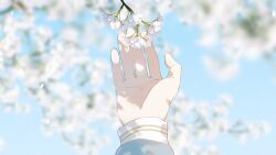 Rule 34 | 1girl, blue shirt, blurry, cherry blossoms, close-up, commentary request, depth of field, falling petals, film grain, highres, long sleeves, original, outdoors, petals, shirt, solo, yuribou