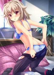 Rule 34 | 1girl, aq interactive, arcana heart, arcana heart 3, ass, atlus, bed, black pantyhose, blonde hair, blue bra, blue panties, blush, bra, butt crack, clothes pull, dimples of venus, examu, kazumasa, kneeling, lingerie, looking back, on bed, open mouth, panties, pantyhose, pantyhose pull, pillow, polka dot, red eyes, solo, torn clothes, torn pantyhose, underwear, undressing, weiss, window
