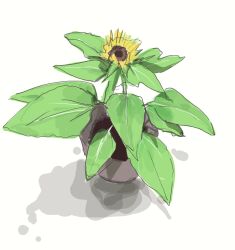 Rule 34 | absurdres, flower, flower focus, highres, mattsuu, no humans, original, plant, potted plant, simple background, sketch, sunflower, white background