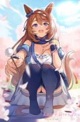 Rule 34 | 1girl, absurdres, animal ears, bare shoulders, blue eyes, blue sky, blue thighhighs, bow, breasts, brown hair, cleavage, commentary request, da-cart, dated, day, ear bow, happy birthday, highres, holding, horse ears, large breasts, long hair, looking at viewer, mimikaki, open mouth, sky, solo, squatting, super creek (umamusume), thighhighs, umamusume, very long hair