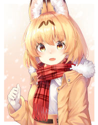 Rule 34 | 10s, 1girl, absurdres, alternate costume, animal ear fluff, animal ears, animal ears (norankkori), blonde hair, blush, checkered clothes, checkered scarf, coat, commentary request, fur trim, high-waist skirt, highres, kemono friends, looking at viewer, nose blush, open clothes, open mouth, open shirt, red scarf, scarf, serval (kemono friends), shirt, short hair, skirt, solo, upper body, white shirt, winter clothes, winter coat, yellow coat, yellow eyes