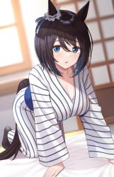 Rule 34 | 1girl, all fours, animal ears, black footwear, black hair, blue eyes, blush, breasts, cleavage, collarbone, commentary request, eishin flash (umamusume), hair between eyes, highres, horse ears, horse girl, horse tail, indoors, japanese clothes, kimono, large breasts, looking at viewer, mutenka (plfgb), parted lips, short hair, solo, striped clothes, striped kimono, tail, umamusume, white kimono
