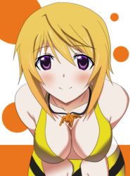 Rule 34 | 10s, 1girl, bad id, bad pixiv id, bikini, blonde hair, blush, breasts, charlotte dunois, cleavage, female focus, infinite stratos, jewelry, large breasts, leaning forward, necklace, purple eyes, sd (sdgu), sdgu, smile, solo, swimsuit, white background