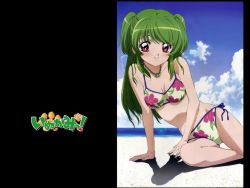 Rule 34 | 00s, 1girl, beach, bikini, blush, cloud, day, female focus, green hair, inukami!, jewelry, long hair, necklace, non-web source, outdoors, pink eyes, red eyes, short twintails, side-tie bikini bottom, sky, smile, solo, swimsuit, twintails, two side up, wallpaper, water, youko (inukami)