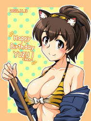 Rule 34 | 1girl, animal print, bikini, blush, breasts, brown eyes, brown hair, cleavage, closed mouth, collarbone, dated, girls und panzer, happy birthday, koyama yuzu, large breasts, looking at viewer, military, military uniform, ooarai military uniform, oosaka kanagawa, ponytail, shiny skin, smile, solo, striped bikini, striped clothes, swimsuit, tiger print, tiger stripes, uniform