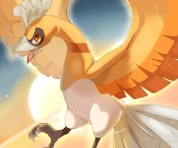 Rule 34 | alternate color, animal focus, artist name, beak, bird tail, commentary request, creatures (company), dawn, feathered wings, floating, game freak, gen 2 pokemon, highres, ho-oh, horizon, iwasi 29, legendary pokemon, night, night sky, nintendo, no humans, open mouth, orange eyes, orange feathers, pokemon, pokemon (creature), shiny pokemon, sky, star (sky), sun, tail, talons, twitter username, water, wings