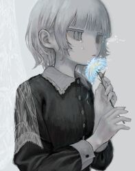 Rule 34 | 1girl, black dress, blue flower, blunt bangs, buttons, collar, collared dress, commentary request, crying, crying with eyes open, curtains, dress, empty eyes, expressionless, fingernails, flower, flower to mouth, frilled collar, frills, from side, frown, giv 81, grey background, grey eyes, hands up, hetero, highres, holding, holding flower, ibispaint (medium), jitome, light frown, long sleeves, looking ahead, making-of available, medium bangs, medium hair, muted color, original, pale skin, parted lips, sidelocks, simple background, sleeve cuffs, slit pupils, solo, sparks, tears, upper body, wavy eyes, white hair