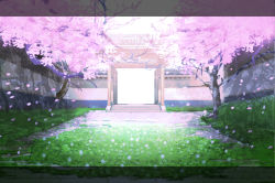 Rule 34 | bad id, bad pixiv id, cherry blossoms, gate, ghostly field club, grass, hakugyokurou, letterboxed, no humans, petals, scenery, tokoroten (hmmuk), touhou, tree