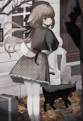 Rule 34 | 1girl, 1other, absurdres, animal ears, black capelet, black headwear, black ribbon, blush, capelet, cat, closed mouth, commentary, feet out of frame, frilled skirt, frills, grey skirt, hair ribbon, highres, light brown hair, long hair, long sleeves, low twintails, original, out of frame, outdoors, pantyhose, plaid, plaid skirt, red eyes, ribbon, shou (mori boro), skirt, solo focus, stuffed animal, stuffed toy, symbol-only commentary, tail, tail ornament, tail ribbon, twintails, white pantyhose