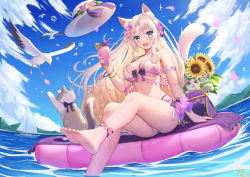 Rule 34 | absurdres, afloat, animal ears, anklet, armlet, barefoot, bikini, bird, blue eyes, blush, boat, bracelet, breasts, cat, cat ears, cat girl, cat tail, crescent, cup, day, flower, hair flower, hair ornament, hat, highres, holding, holding cup, indie virtual youtuber, jewelry, ken-san, large breasts, long hair, looking at viewer, ocean, outdoors, qiuyue ying&#039;er, sailboat, seagull, sitting, sky, soaking feet, sunflower, swimsuit, tail, thighs, unworn hat, unworn headwear, very long hair, virtual youtuber, water, water drop, watercraft, white bikini, white hair