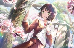 Rule 34 | 1girl, black hair, blunt bangs, blunt ends, blurry, blurry background, brown dress, cherry blossoms, dappled sunlight, depth of field, drawing (object), dress, dutch angle, falling petals, fence, flower, game cg, green eyes, hair flower, hair ornament, hand on own chest, hasu no sora school uniform, highres, holding, holding sketchbook, iron fence, lens flare, link! like! love live!, long sleeves, love live!, momose ginko, neckerchief, official art, open mouth, petals, pink petals, pleated dress, sailor collar, sailor dress, school uniform, short hair, sketchbook, smile, solo, sun halo, sunlight, third-party source, tree, upper body, virtual youtuber, white sailor collar, winter uniform, yellow neckerchief